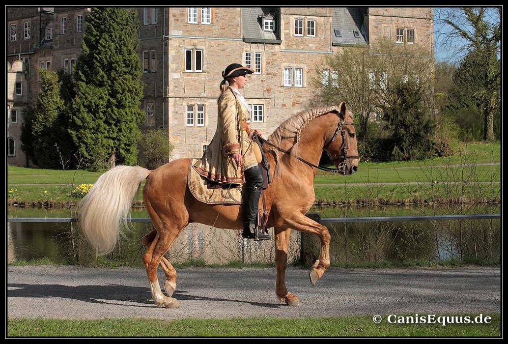 horses_canisequus__IMG_0175