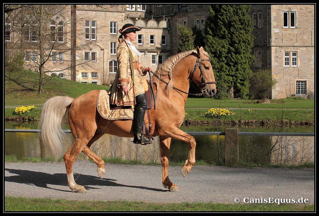 horses_canisequus__IMG_0197