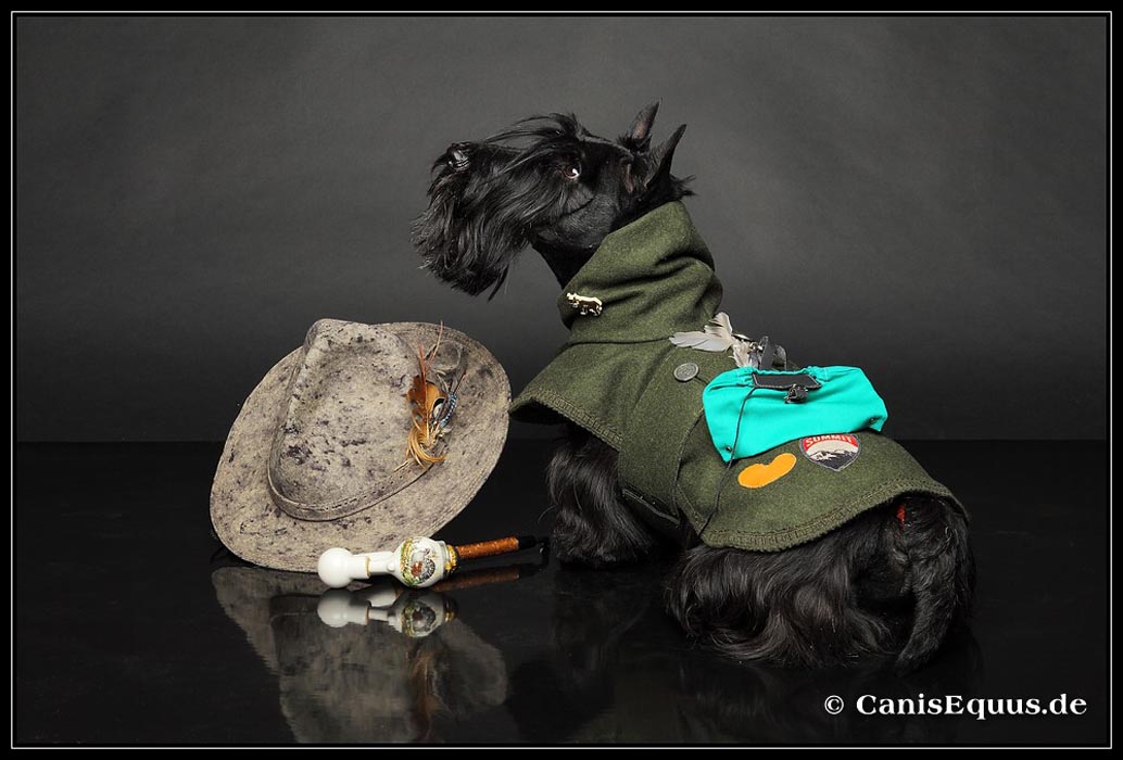 scotties_IMG_3253