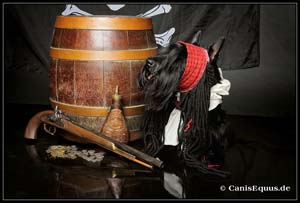 scotties_IMG_2877