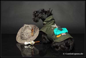 scotties_IMG_3253